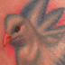 tattoo galleries/ - Dove - 46557
